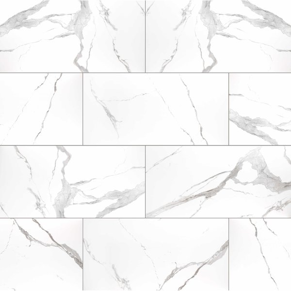 Msi Eden Statuary 12 In. X 24 In. Polished Porcelain Floor And Wall Tile, 8PK ZOR-PT-0304